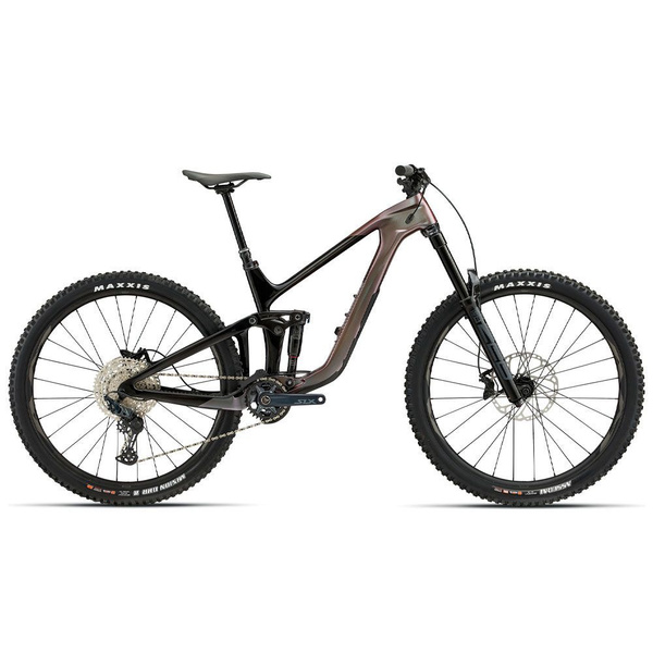 Giant reign 29er store 2