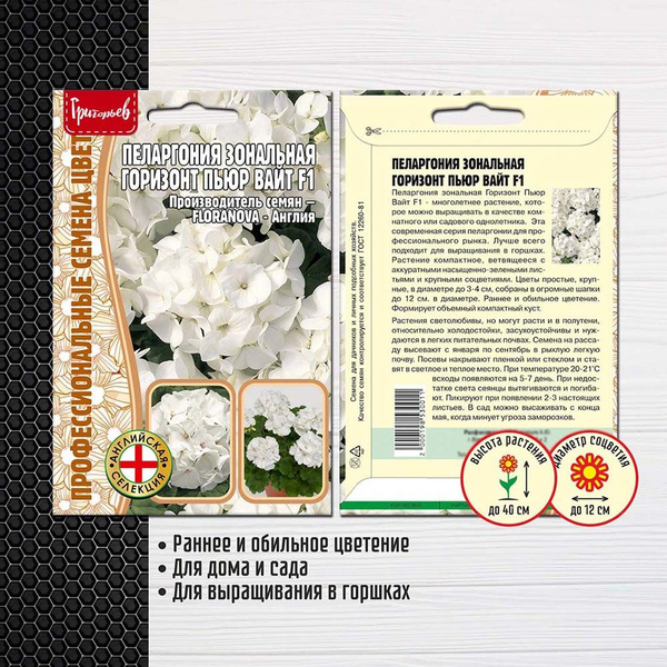 Пеларгонии (Герань) Григорьев Пеларгонии (Герань) - купить по выгодным ...