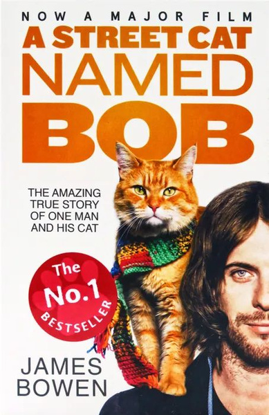 A Street Cat Named Bob Di James Bowen, Hodder & Stoughton General - Foto 7