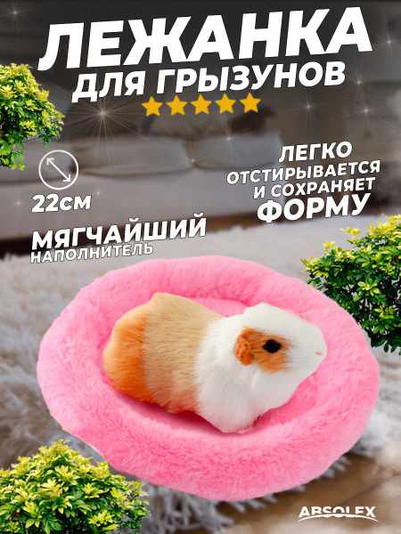 Лежанка для крыс грызунов морской свинки - купить с доставкой по ...