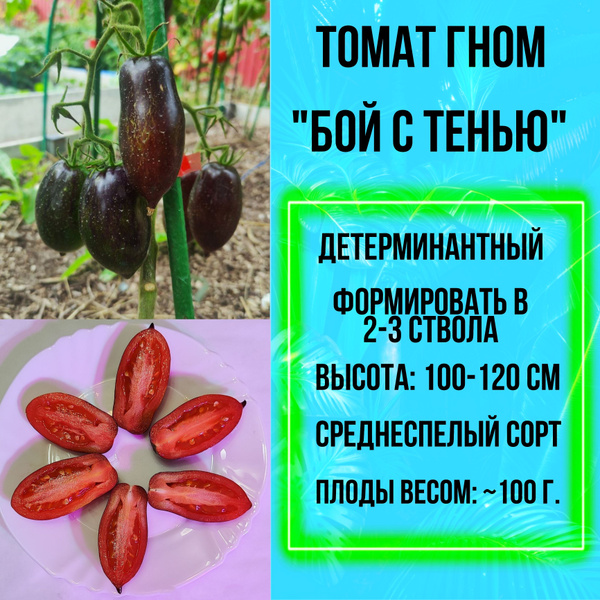 Томаты Livata томат-гном "Бой с тенью" - купить по выгодным ценам в ...