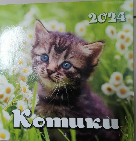 Календарь 2024. 21*21 см. Котики - купить с доставкой по выгодным ценам ...