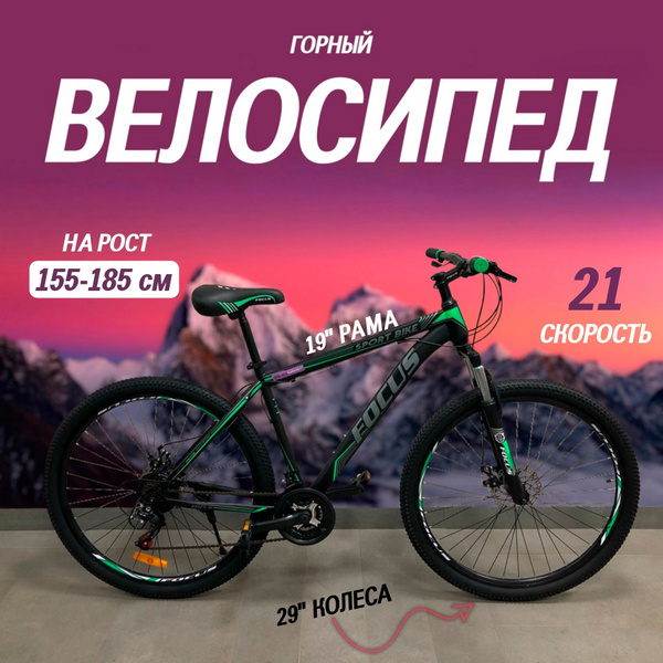Велосипед горный взрослый FOCUS/колеса 29 дюймов/рама 19 дюймов из ...