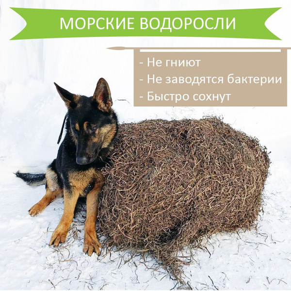 Подстилка для собаки. Водоросли в мешках - купить с доставкой по ...