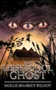 The Lissergool Ghost - Mollie Sharkey-Wilmot