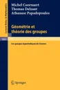 Geometrie et theorie des groupes. Les groupes hyperboliques de Gromov - Michel Coornaert, Thomas Delzant, Athanase Papadopoulos