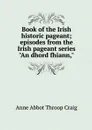 Book of the Irish historic pageant; episodes from the Irish pageant series 