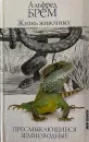 Жизнь животных. Пресмыкающиеся. Земноводные - Брем Альфред