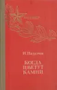 Когда цветут камни - Иван Падерин