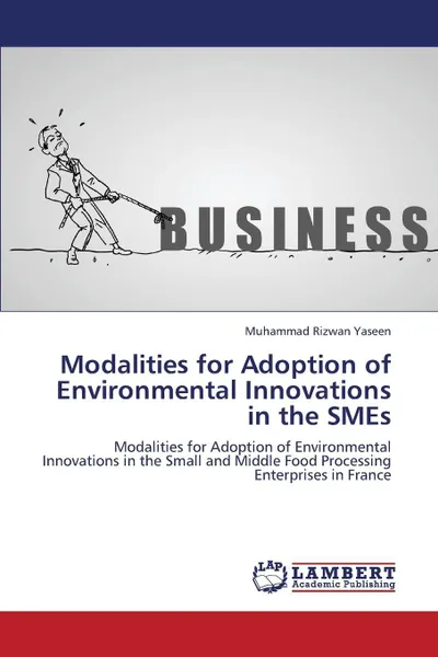 Обложка книги Modalities for Adoption of Environmental Innovations in the Smes, Yaseen Muhammad Rizwan