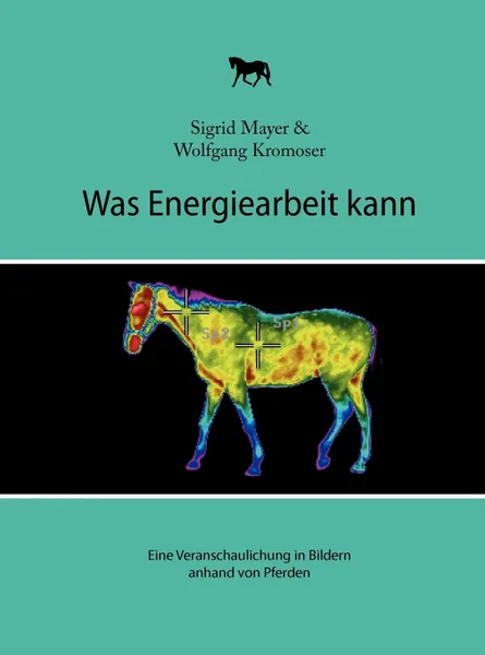 Обложка книги Was Energiearbeit kann, Sigrid Mayer, Wolfgang Kromoser