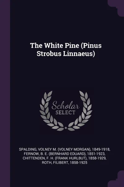 Обложка книги The White Pine (Pinus Strobus Linnaeus), Volney M. 1849-1918 Spalding, B E. 1851-1923 Fernow, F H. 1858-1929 Chittenden