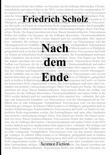 Обложка книги Nach dem Ende, Friedrich Scholz