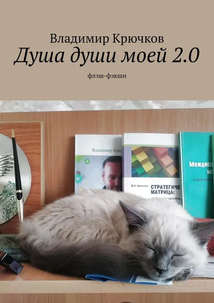 Обложка книги Душа души моей 2.0, Владимир Крючков