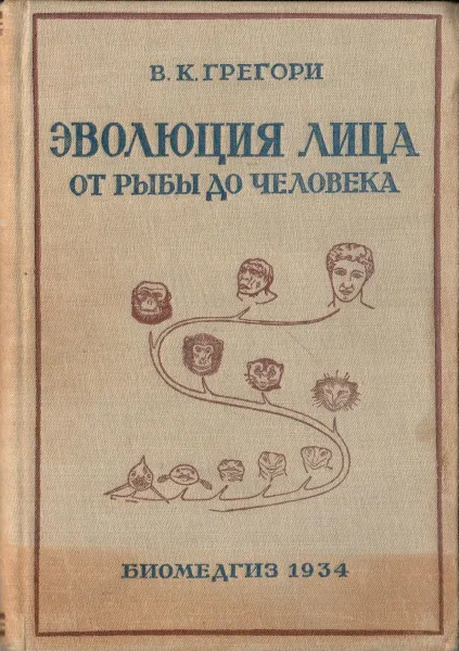 Обложка книги Эволюция лица от рыбы до человека, В. К. Грегори