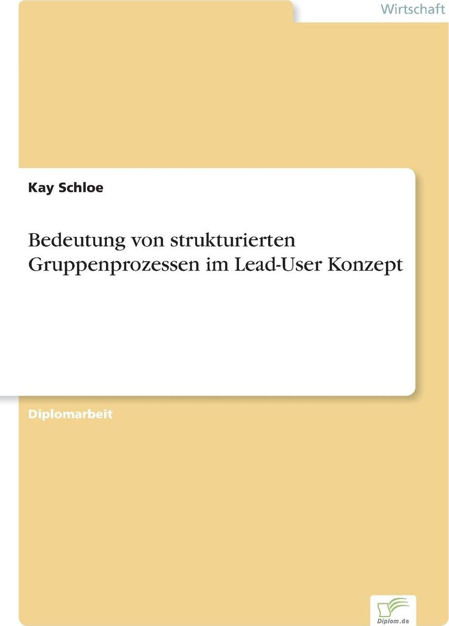 фото Bedeutung von strukturierten Gruppenprozessen im Lead-User Konzept