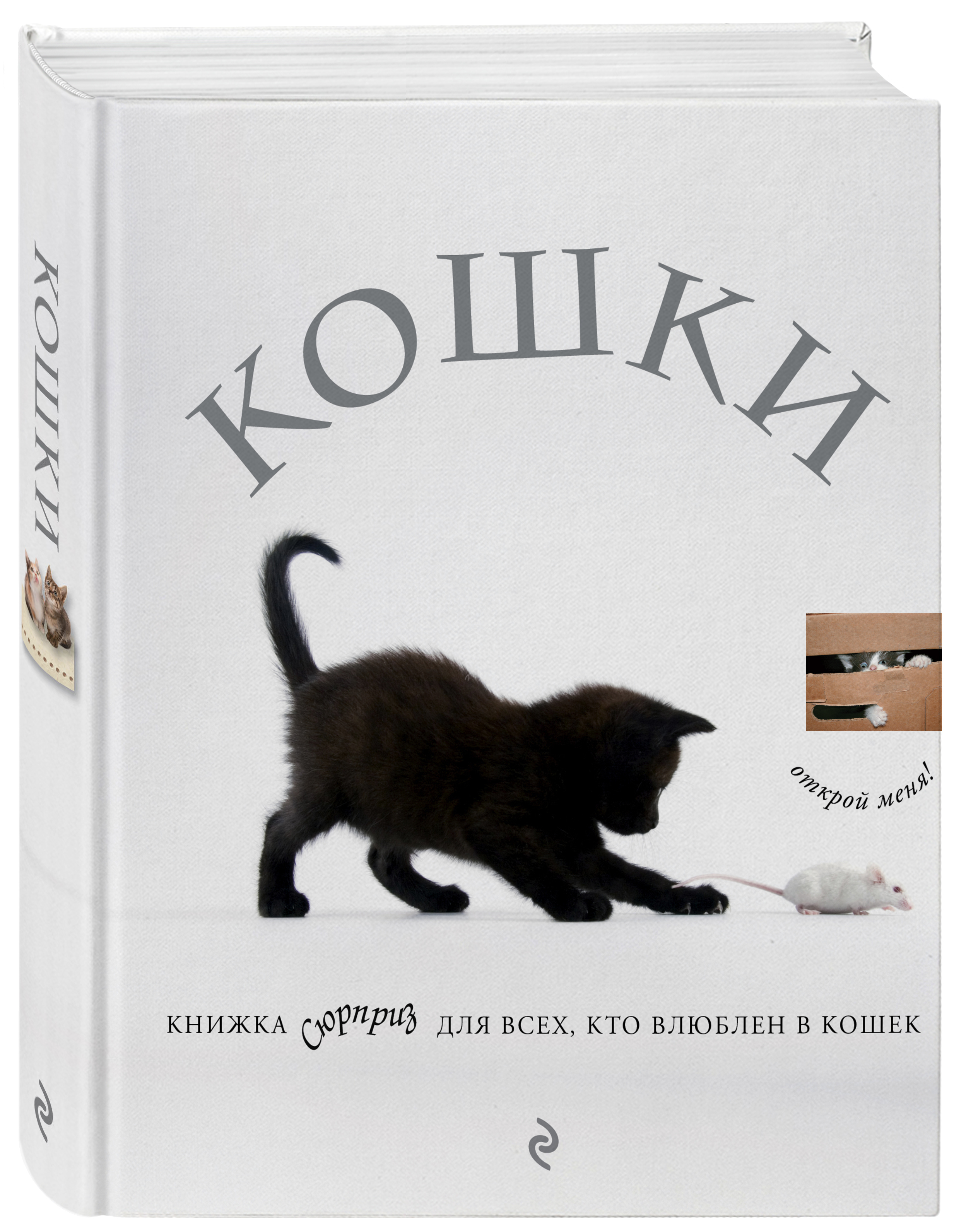 Отзывы про кошку. Книги про кошек. Книги о кошках Художественные. Книга сюрприз кошки.