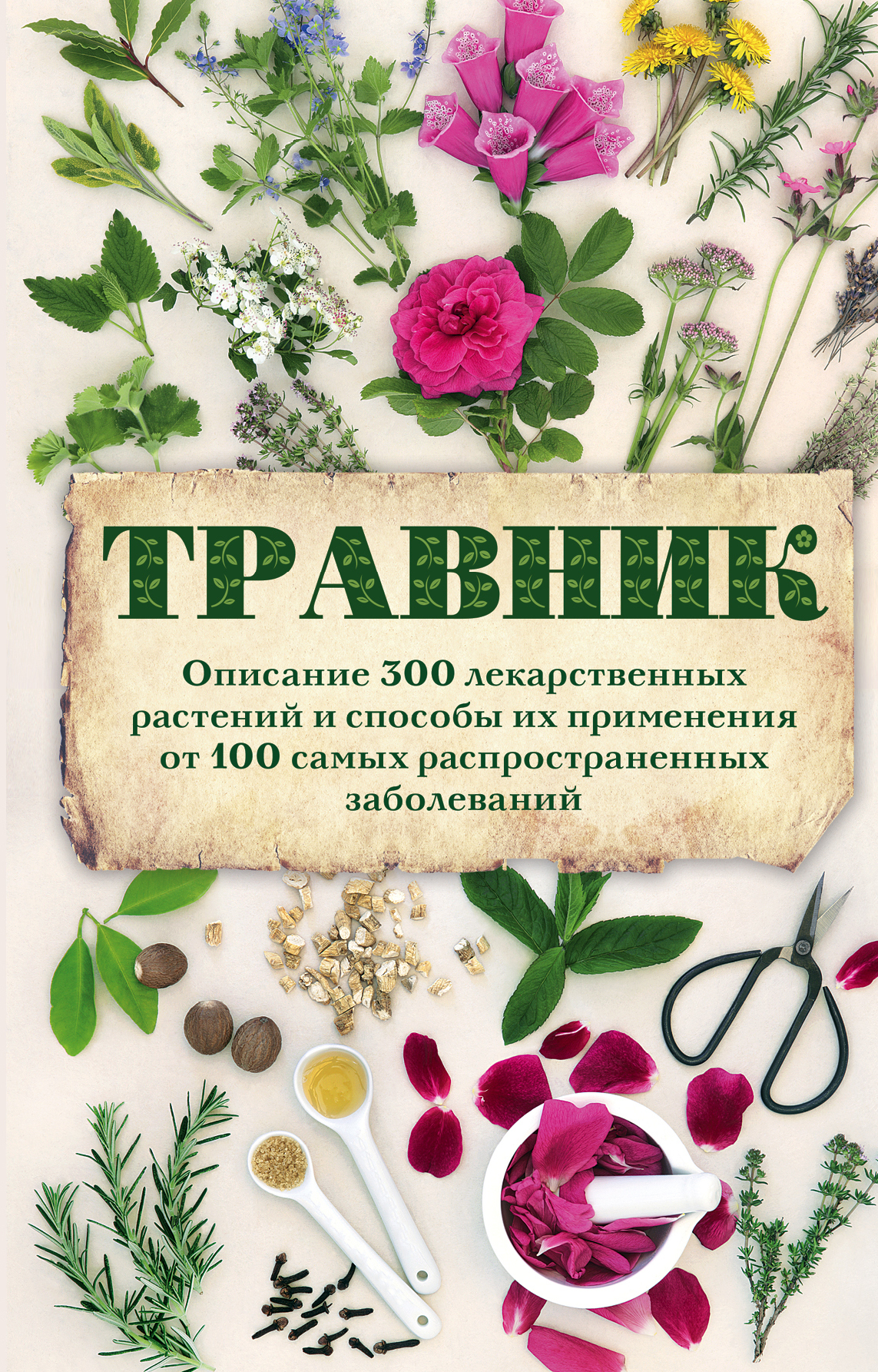 Распечатка надписи травник. Буквы травник. Буквы травник. Красивая надпись травник. Травничество книги.