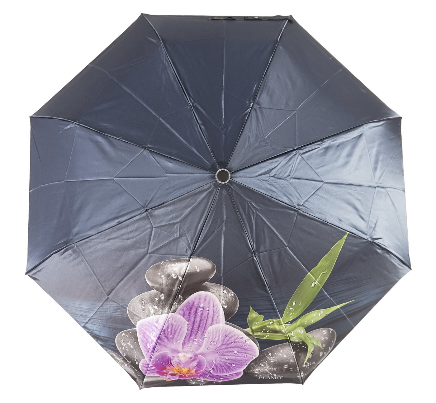 Где купить зонтик. Зонт h2000+. Зонт Bizzotto Салерно 0795370. Isotoner зонт женский 09496. Зонт Bizzotto Салерно 0795712.