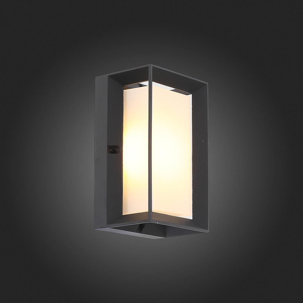 Уличный настенный светильник st luce. Уличный настенный светильник st luce. St luce agio sl076. 02. St luce coctobus sl563.