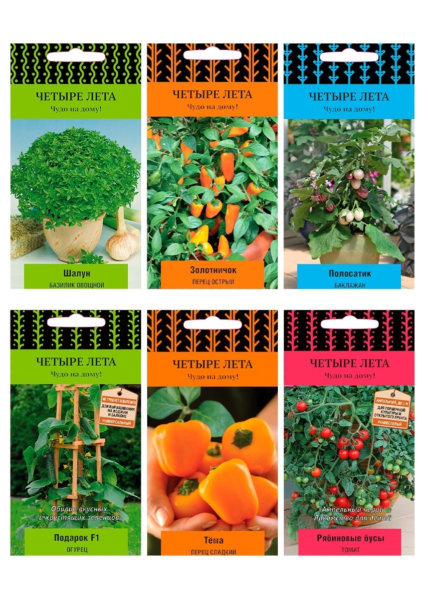 баклажан патио блу f1. семена четыре лета перец. четыре лета отзывы. баклажан сорт медальон. четыре лета отзывы.