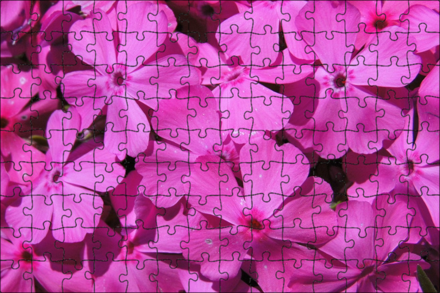 Pink Ocean\Aesthetic in 2023 Pink ocean wallpaper, Pink ocean, Pink mermaid aes