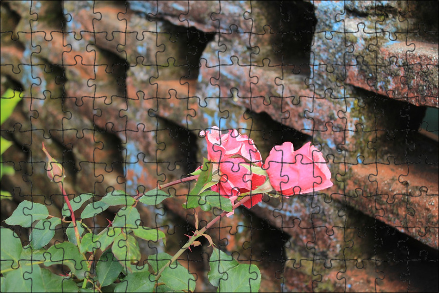 Free Images : nature, soil, stone wall, brick, material, brickwork, the pink flo