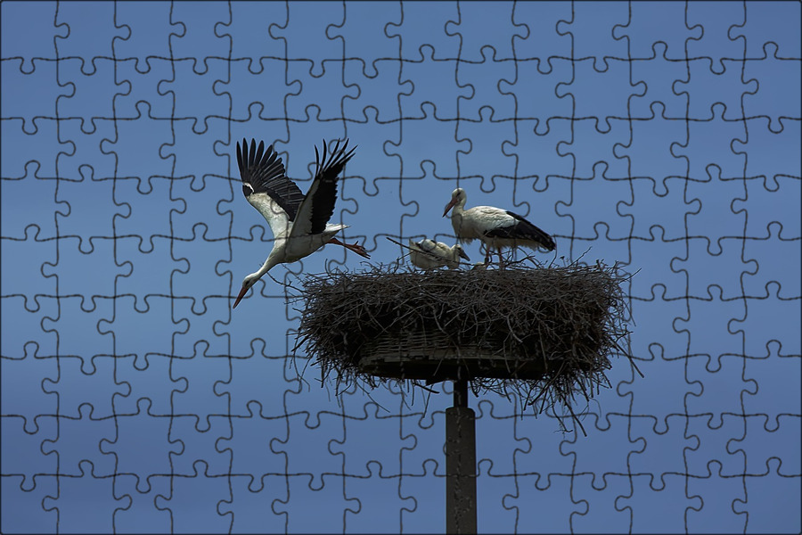 Гнездо аиста из ротанга. Гнездо аиста. Птица Геры Аист. Flying the Nest