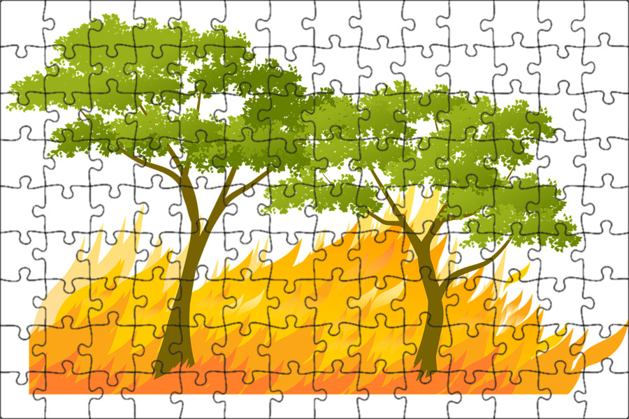 Пожар В Лесу Картинки Для Детей