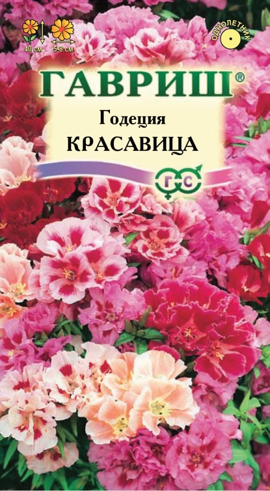 Как выглядят цветы годеция фото BoriNat 4051_10 - купить по выгодным ценам в интернет-магазине OZON (702179605)
