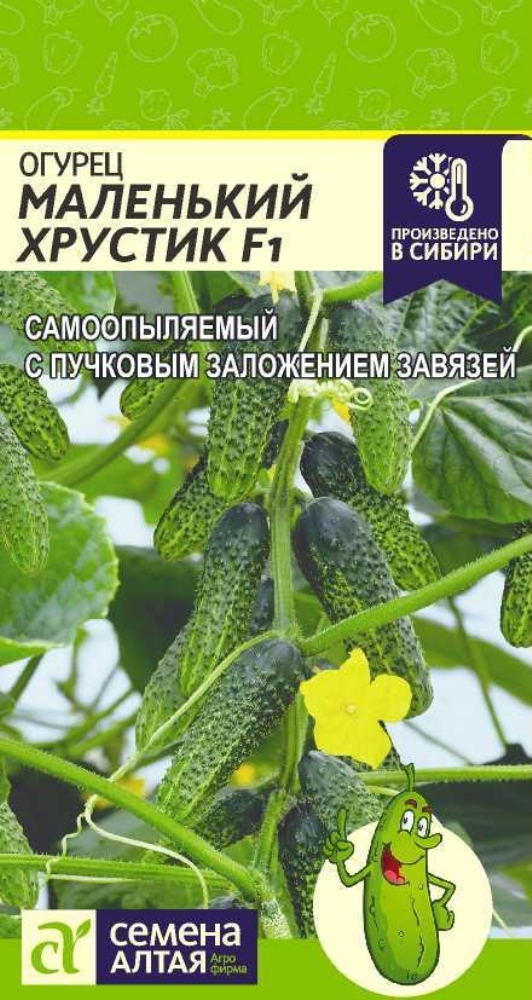 Сорт Огурца Хрустик Отзывы Фото