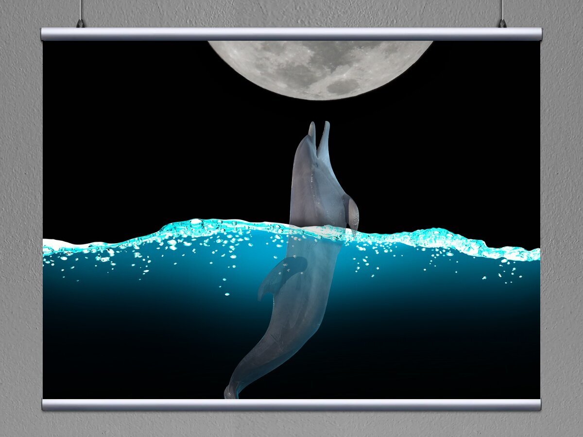 Вода на Луне. Дельфин Луна. Вода и Луна арт. Album Art на моей Луне Дельфин.
