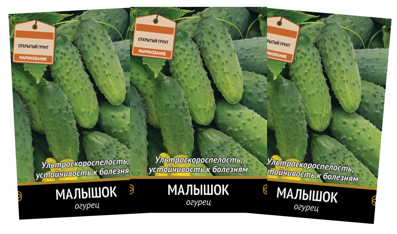 Огурец малышок-крепышок f1. Семена огурец малыш 10шт. Малышок семена огурцы. Огурец малышок-крепышок f1. Малышок крепышок f1 описание.