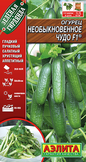 Огурец Необыкновенное чудо превосходного вкуса гладкий салатный огурец