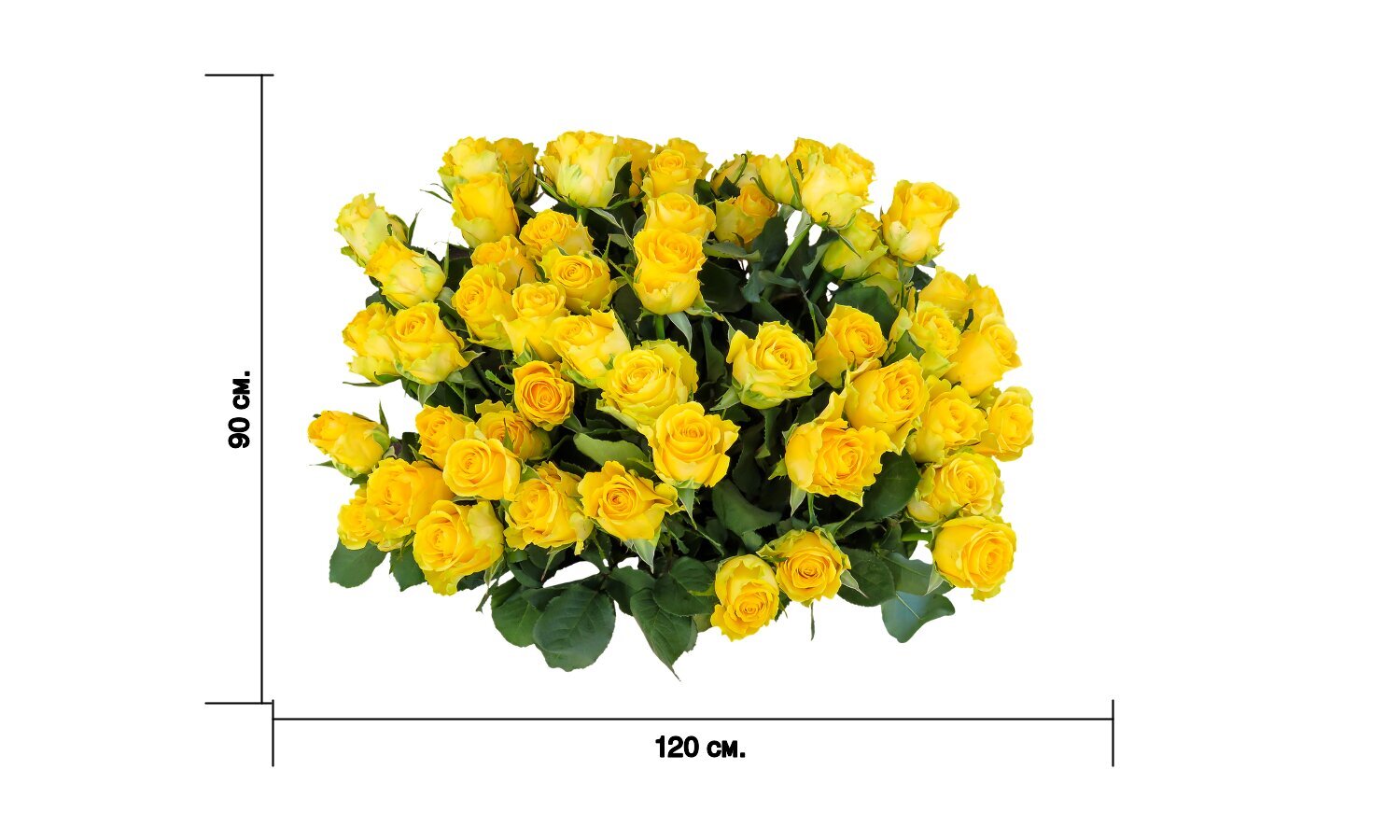 Стикеры цветы для телеграмма фото 9
