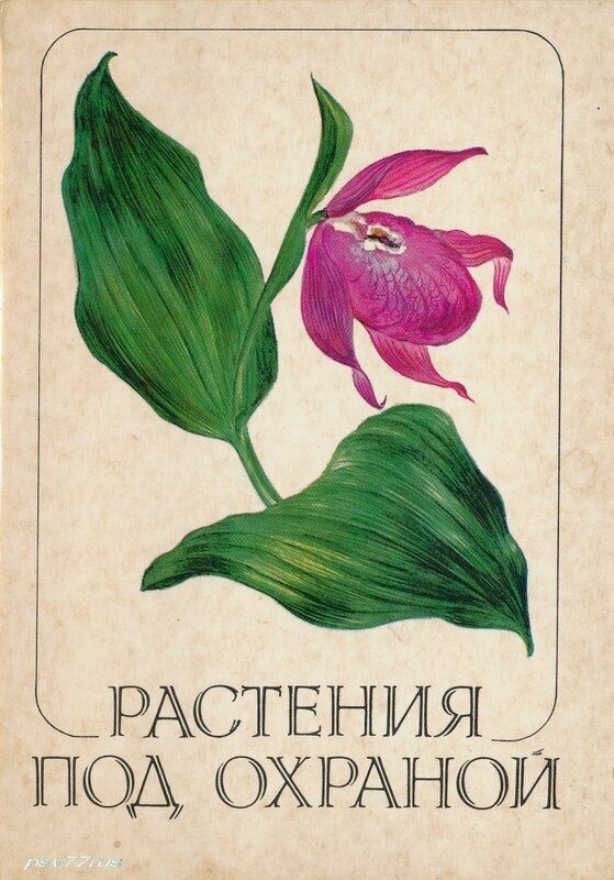 Редкие растения под охраной. Растения под охраной. Растения под охраной книга. Растения красной книги России.