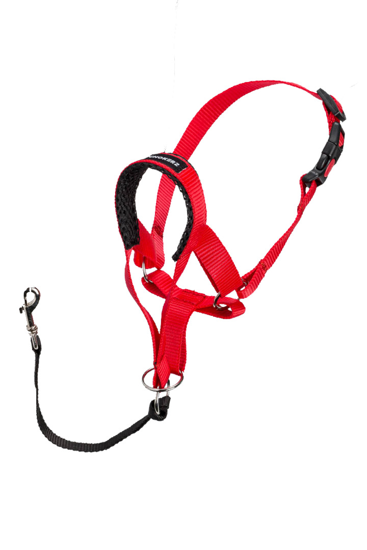 Недоуздок (Халти) корректор для собак CHOKERZ. Обхват морды 24-41 см, шеи - 50-64. купить на OZON по низкой цене (567511936)
