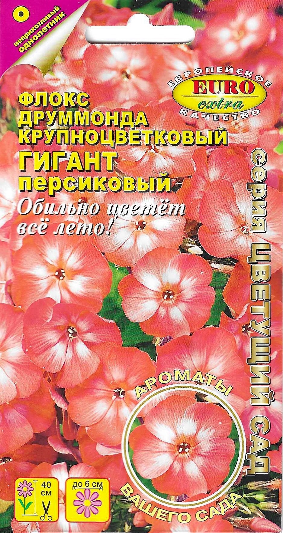Флоксы Однолетние Купить Семена