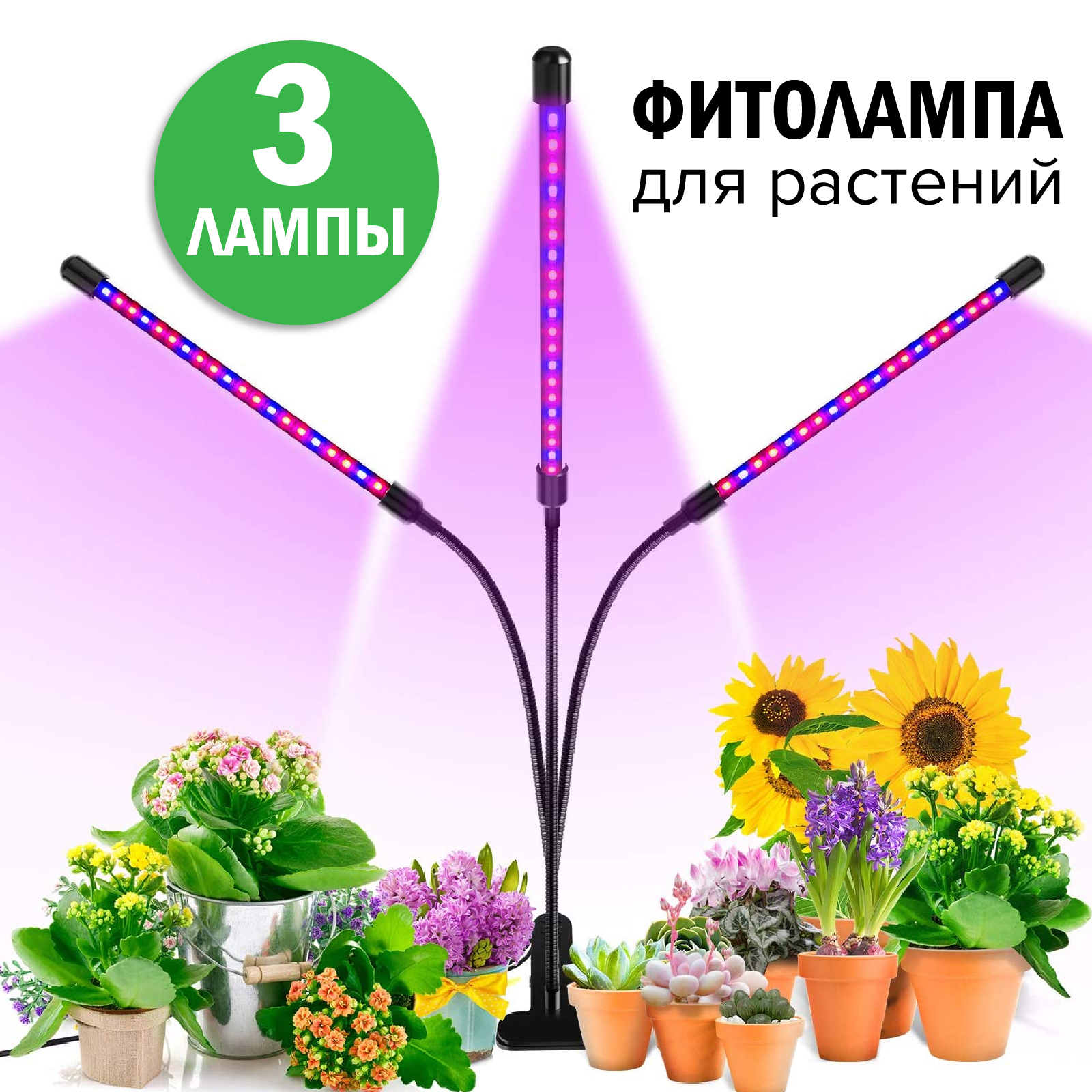 Светильник для рассады. Лампа полный спектр для растений. Светодиодная лампа для растений illumetik полный спектр. Фито лампы с полным спектром света для роста растений купить. Таймер для рассады