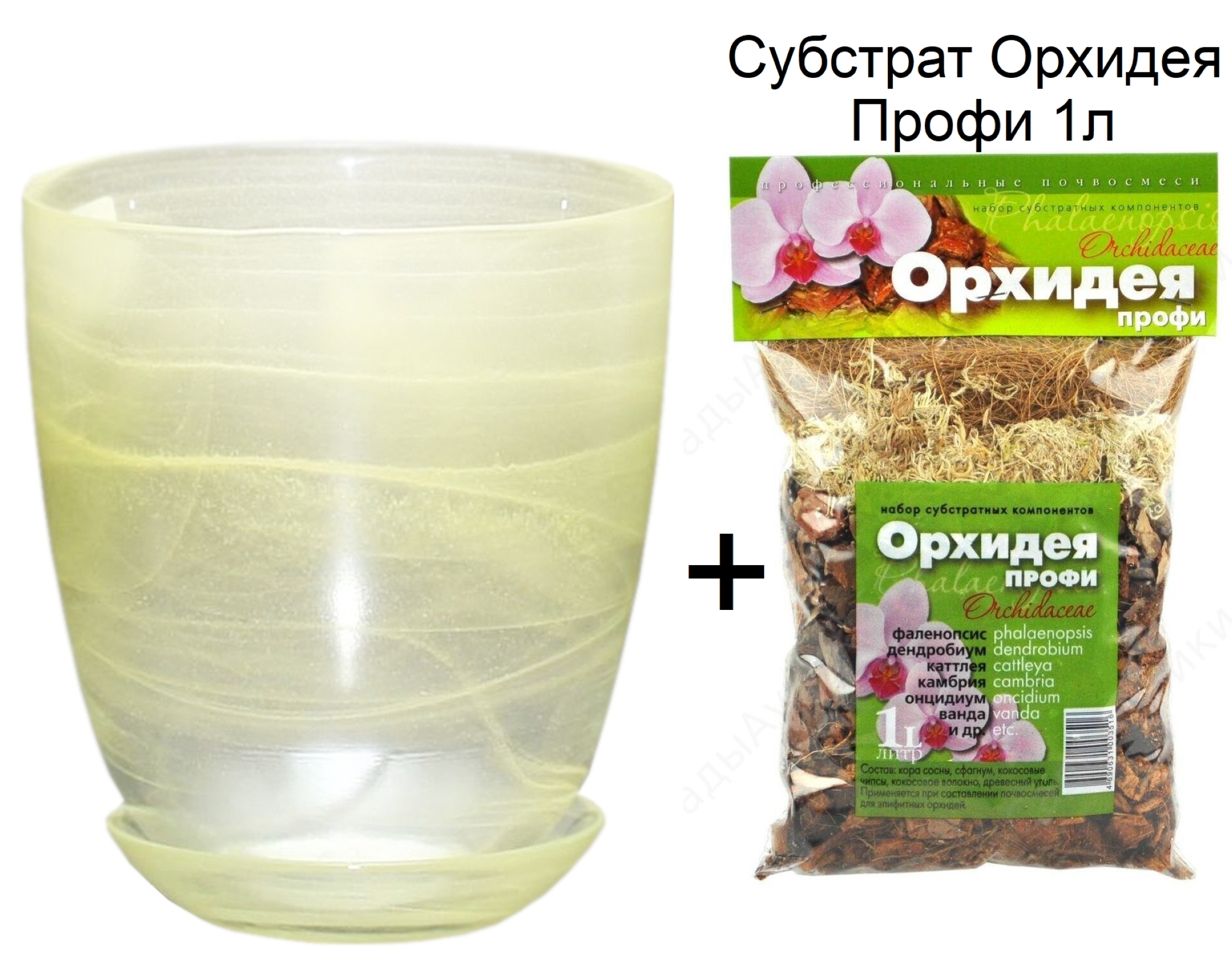 Закрепление растения в субстрате