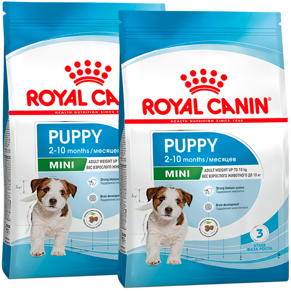 Сухой корм ROYAL CANIN MINI PUPPY для щенков маленьких пород (0,8 + 0,8 кг)  - купить с доставкой по выгодным ценам в интернет-магазине OZON (266190288)