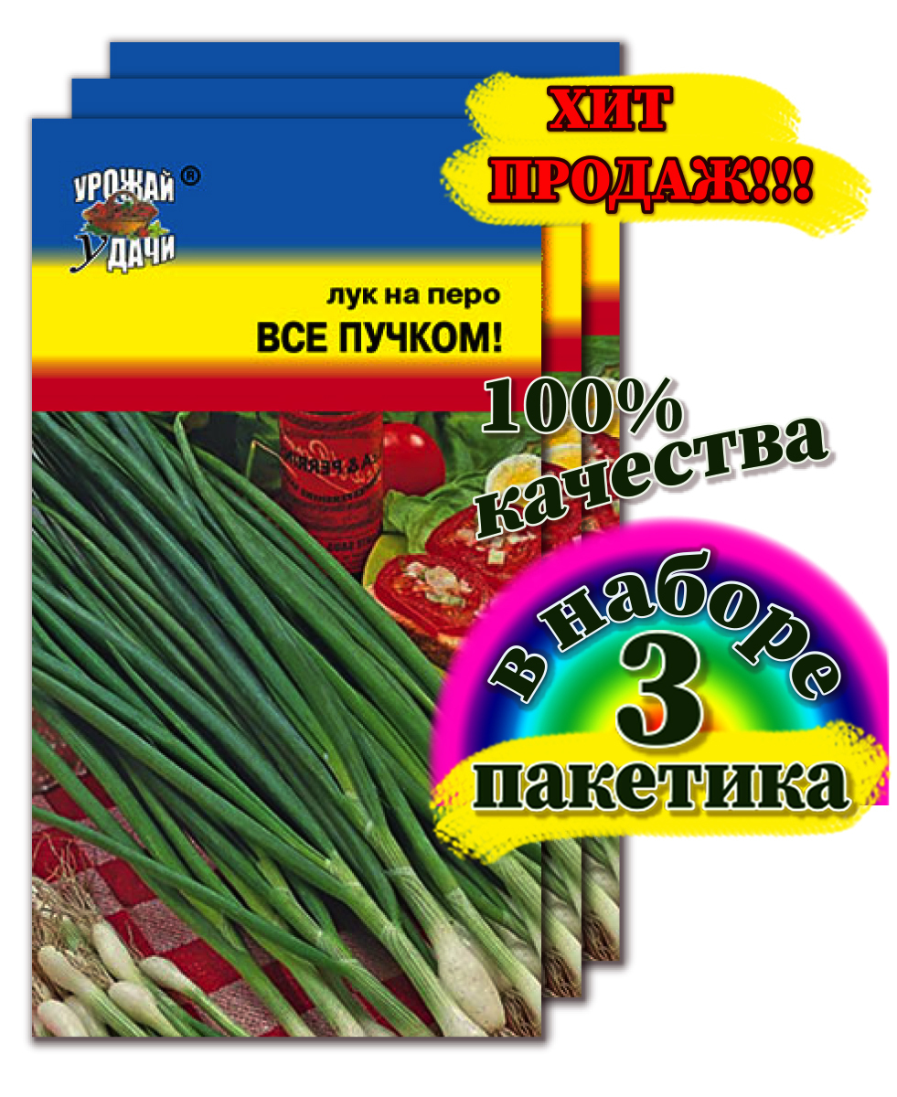 Лук Урожай удачи цветы1 - купить по выгодным ценам в интернет-магазине OZON  (704848906)