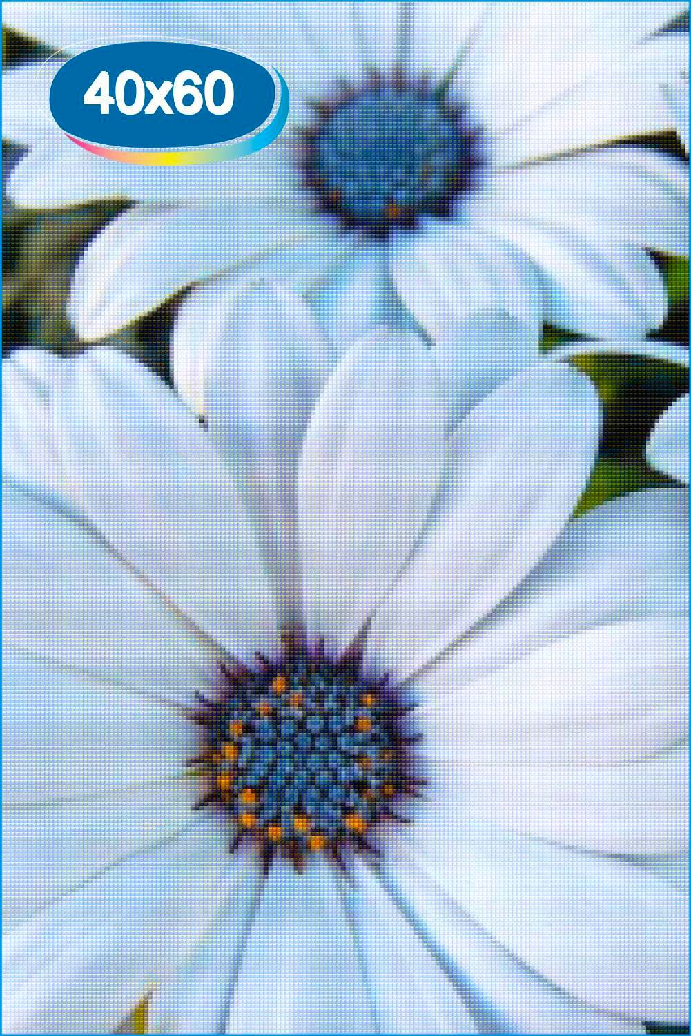 Белый цветок с голубой серединкой
