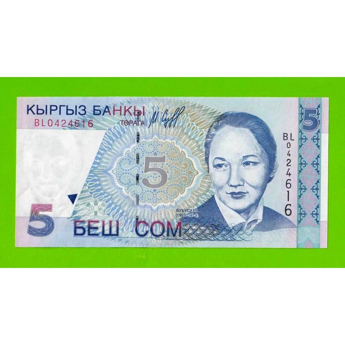 Киргизский сум. 5000 Сом Киргизия. Кыргызские купюры. Сом банкнота киргизский. Денежные купюры Кыргызстана.
