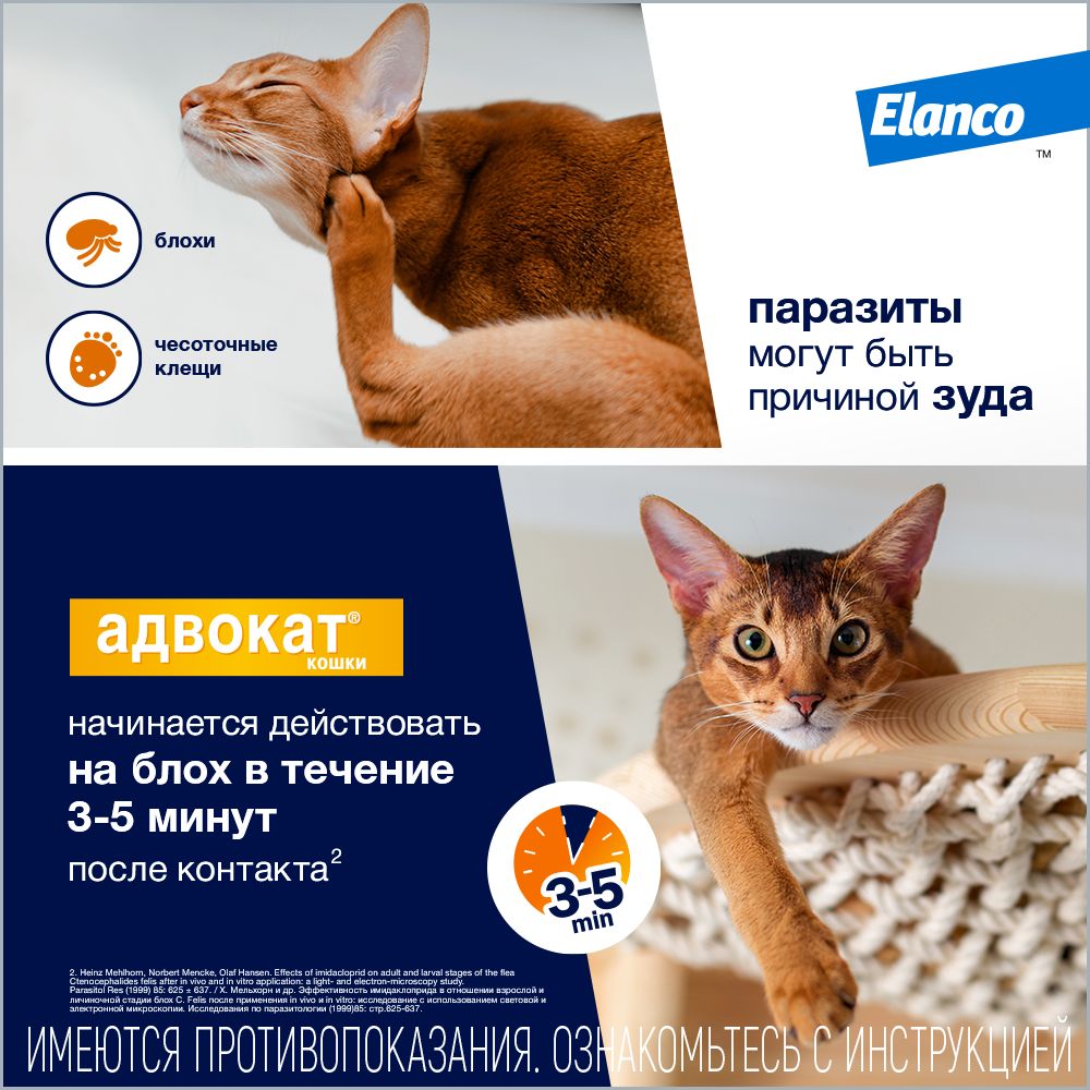 Адвокат от блох и клещей. Капли Advocate для кошек. Bayer адвокат капли на холку для кошек более 4 кг, 1 шт. Адвокат Байер для кошек. Bayer адвокат для кошек 4-8 кг (1 пипетка, 0,8 мл.).