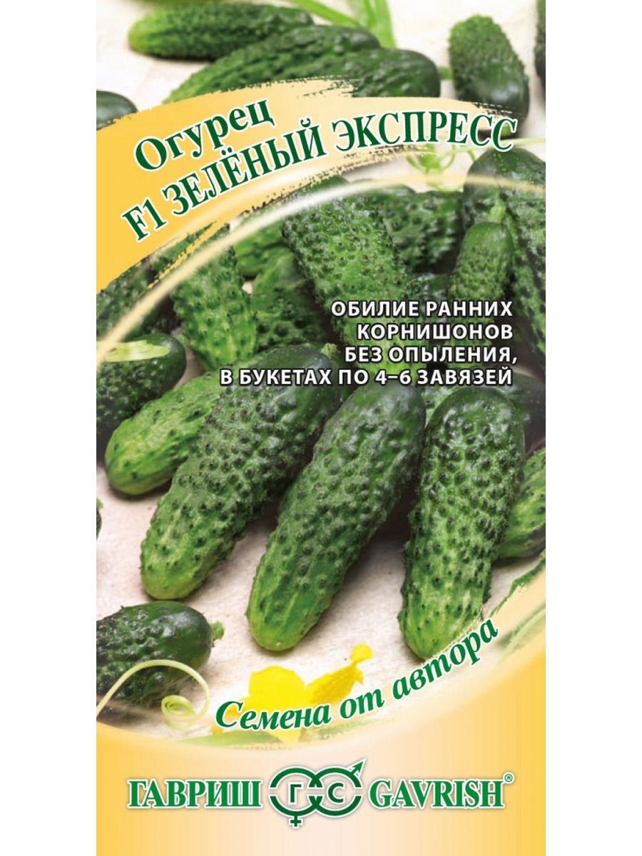 Сорт огурца экспресс. Огурец зеленый поток f1 10шт ц/п (Гавриш) пчелооп.. Гавриш огурец зеленый экспресс. Огурец зеленые гномики Гавриш. Огурец зеленый экспресс f1.