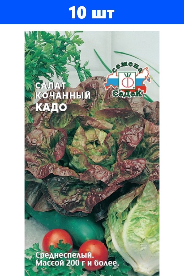 Салат кочанный королева льда фото