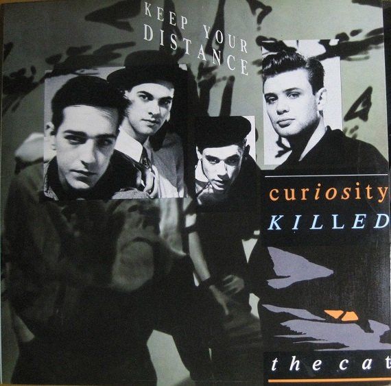 Curiosity Killed the CT. Curiosity Kills the Cat Jia Song. Cruisin' gang 1987 America. Curiosity and the Cats (pt 2). Curiosity killed the