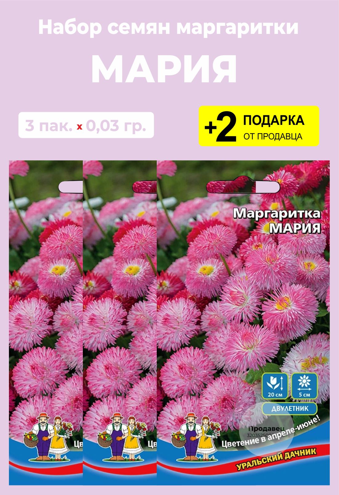 Маргаритки Семена Купить
