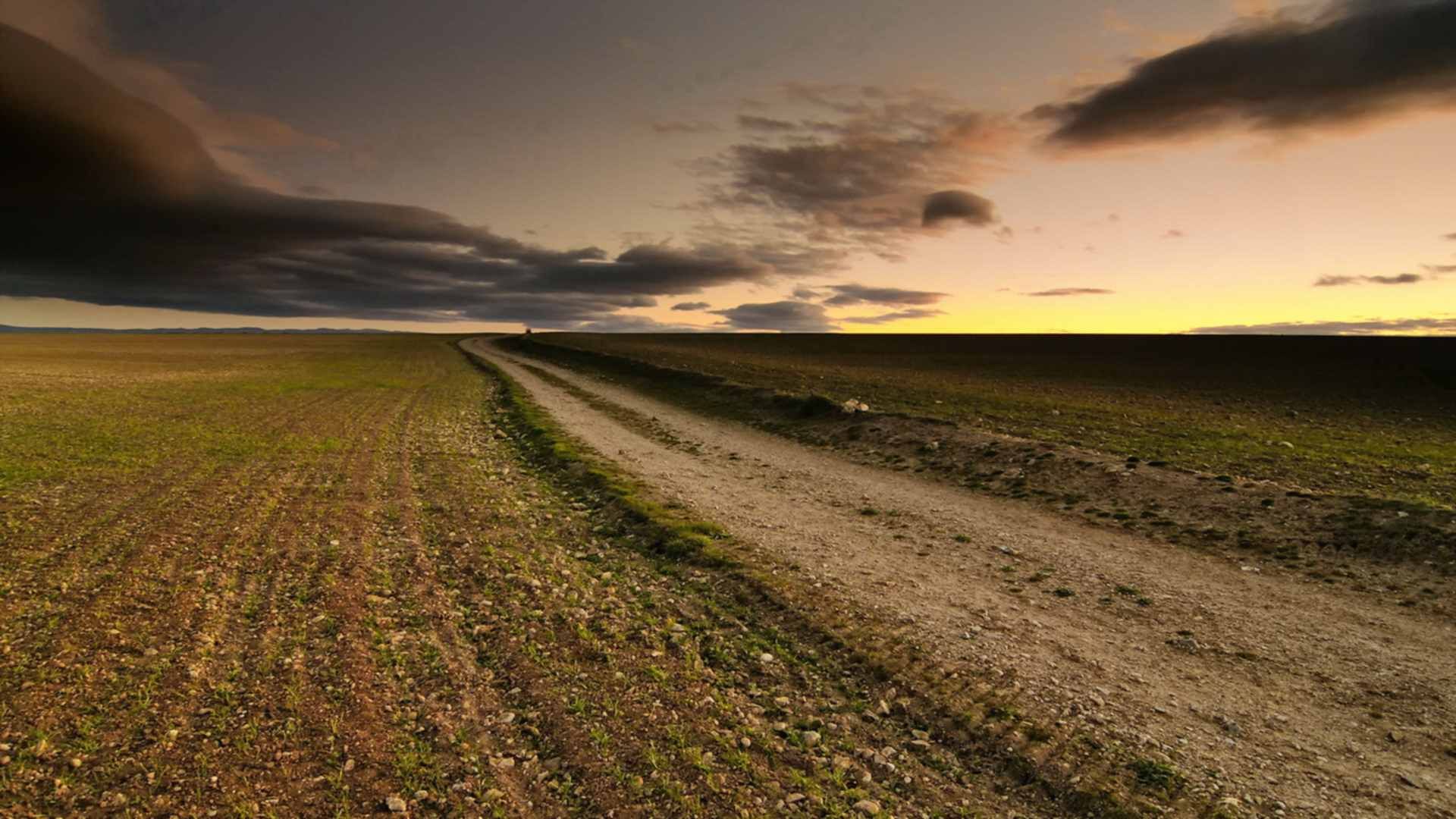 Не та земля дорога. Проселочная дорога в поле. Пейзаж с дорогой. Поле с дорогой. Грунтовая дорога пейзаж.